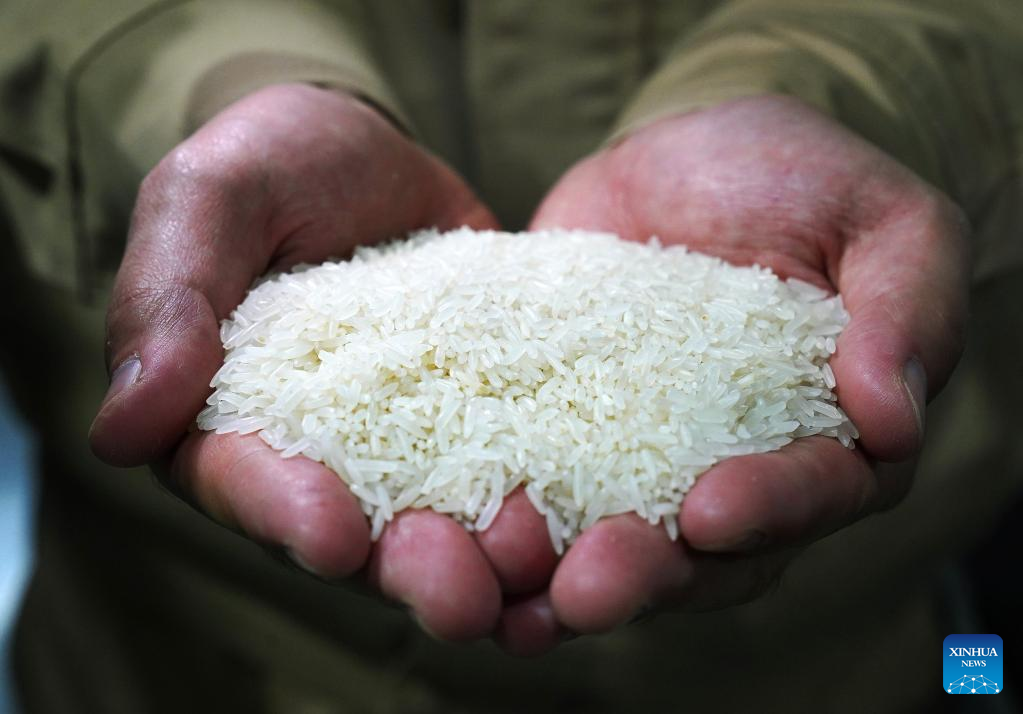 As delícias do arroz frito