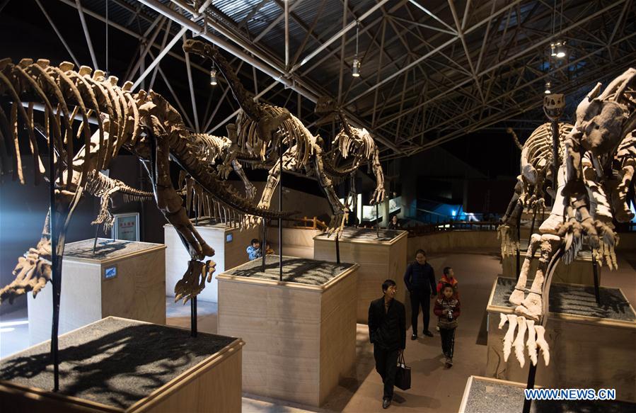 Museu de Dinossauros será inaugurado no nordeste da China em julho