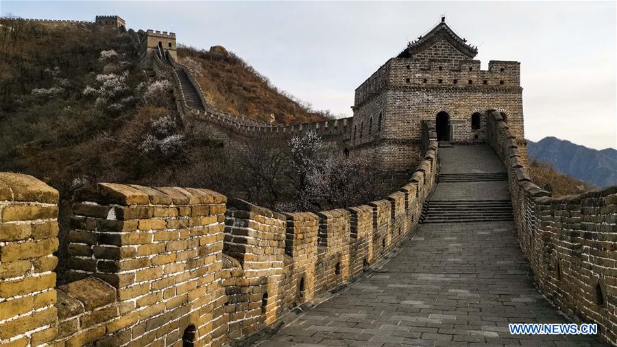 Xi pede maiores esforços para promover e proteger a Grande Muralha
