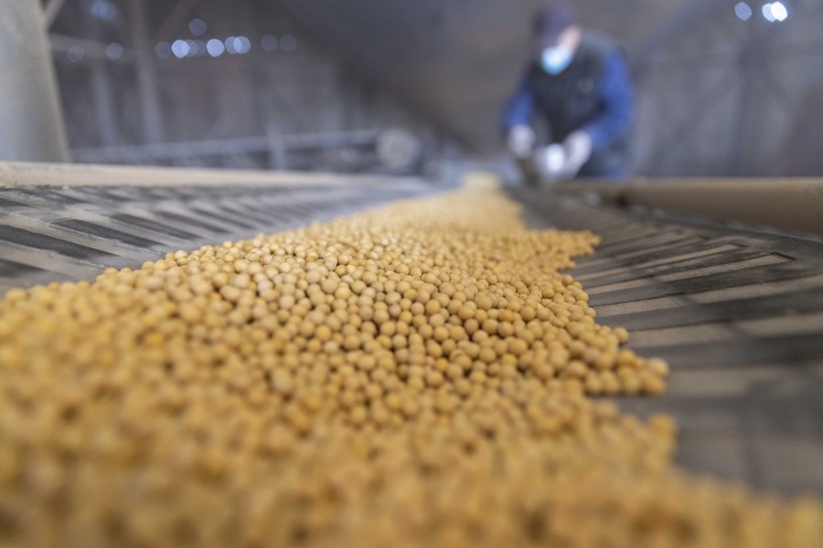 Brasil gera mais de US$20 bilhões com exportações agrícolas para China em 2020