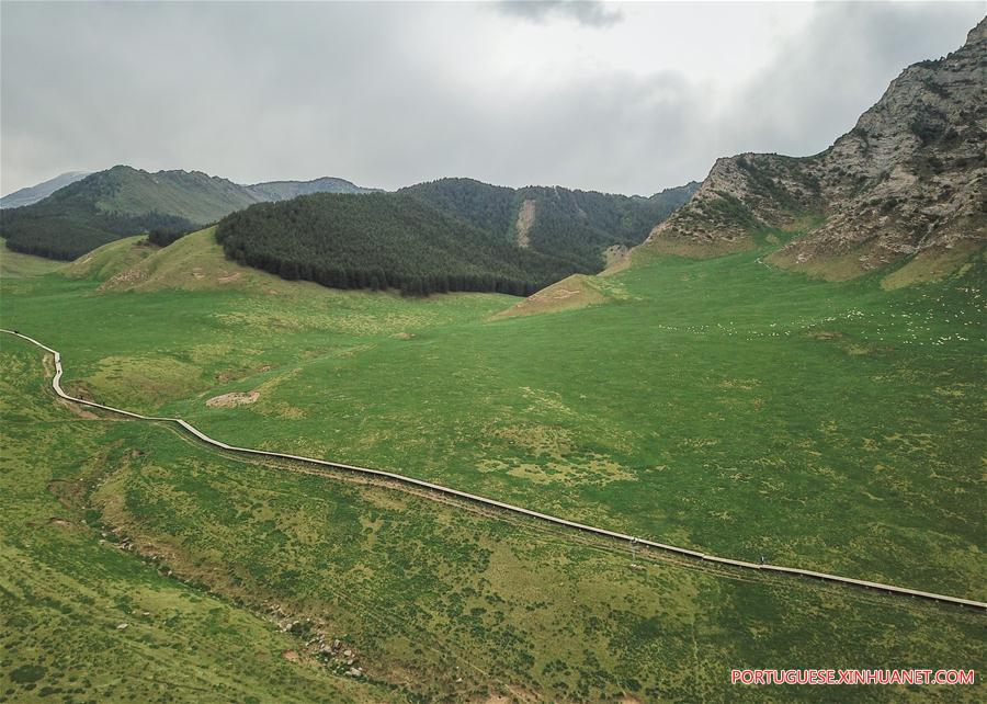 Fórum internacional sobre ecologia no Cinturão e Rota será realizado na China