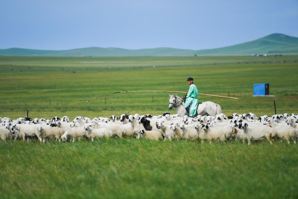 Xinjiang tira mais de 520 mil pessoas da pobreza em 2018