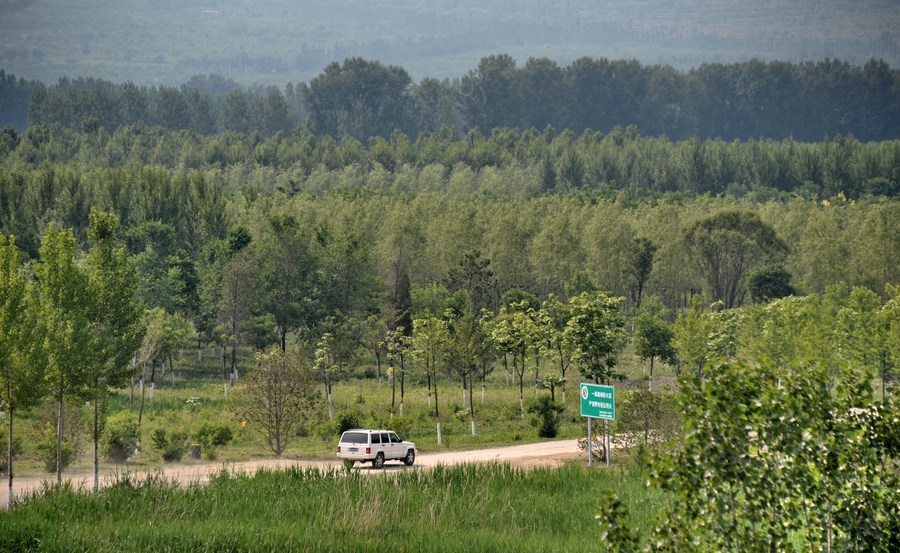 Programa aumenta em mais de 13% a área de cobertura florestal do norte da China