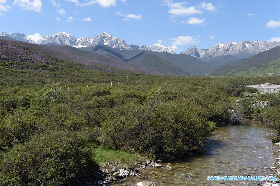 China cria parque nacional para restaurar áreas de montanhas