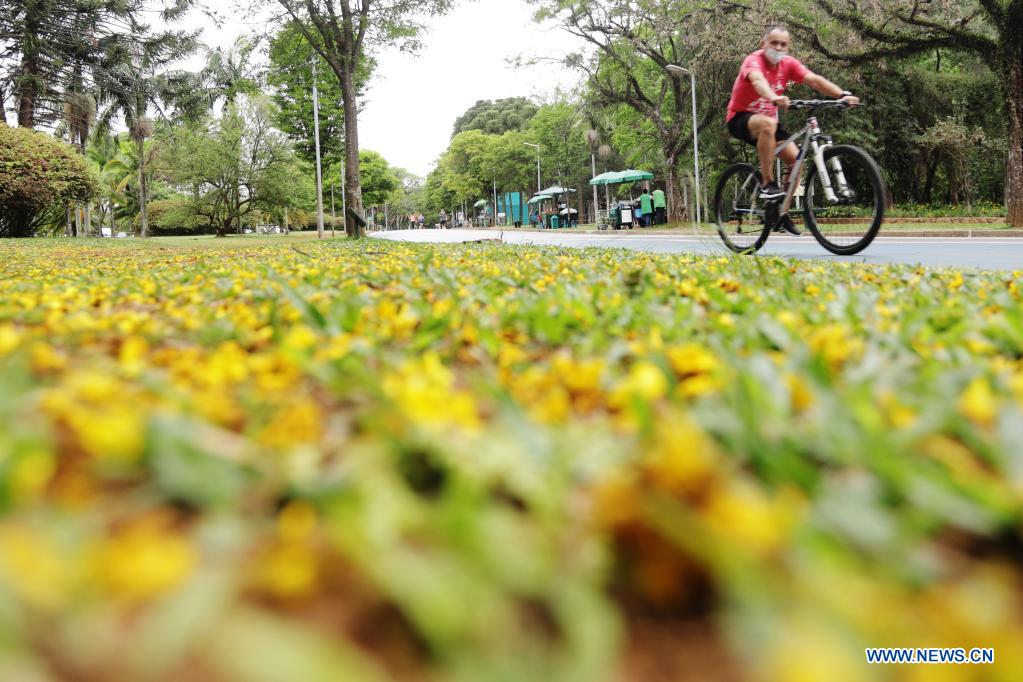 Parque do Ibirapuera receberá Festival das Lanternas para celebrar o Ano Novo Chinês