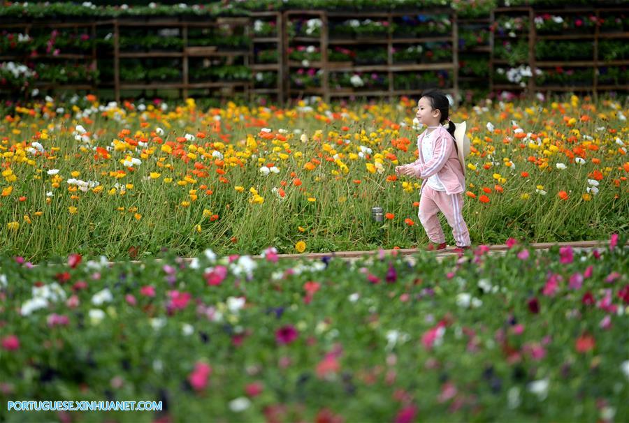 Expo de horticultura de Pequim terá 2.500 atividades culturais