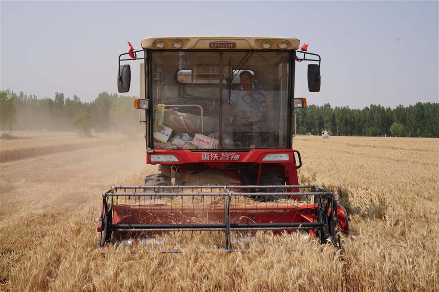 China favorece balança comercial positiva do agronegócio brasileiro em maio