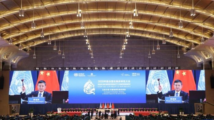 COP15 adota Declaração de Kunming