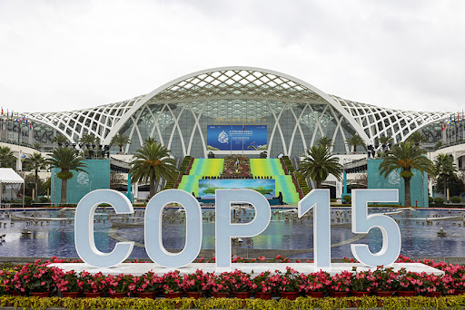Brasileira sobre COP15: “Preservação da biodiversidade exige compromisso de todos os países”