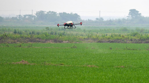 Seminário discute cooperação entre China e Brasil em biotecnologia, agricultura e sustentabilidade