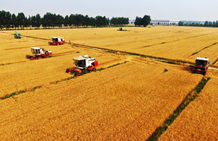 PIB da China supera US$ 17,3 trilhões em 2021