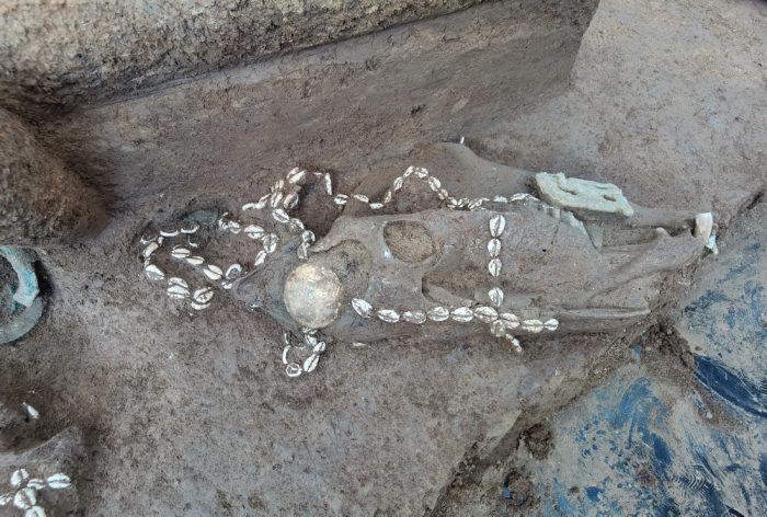 Cemitério de 3 mil anos é descoberto no centro da China