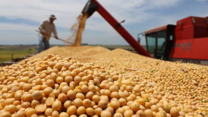 Exportações brasileiras de soja batem recorde em 2021