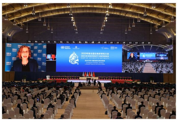 Conferência de Biodiversidade da ONU será transferida da China para Canadá
