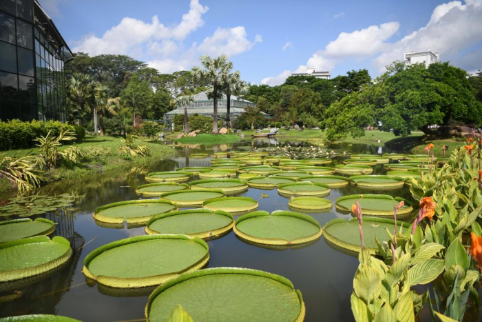Guangzhou inaugura Jardim Botânico Nacional do Sul da China