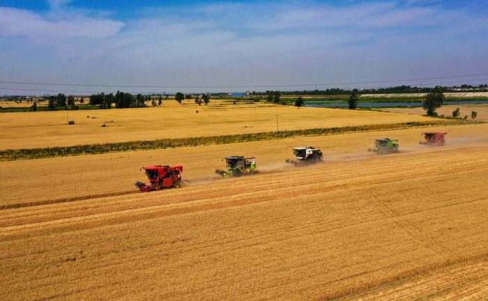 Empréstimos relacionados à agricultura da China registram crescimento estável