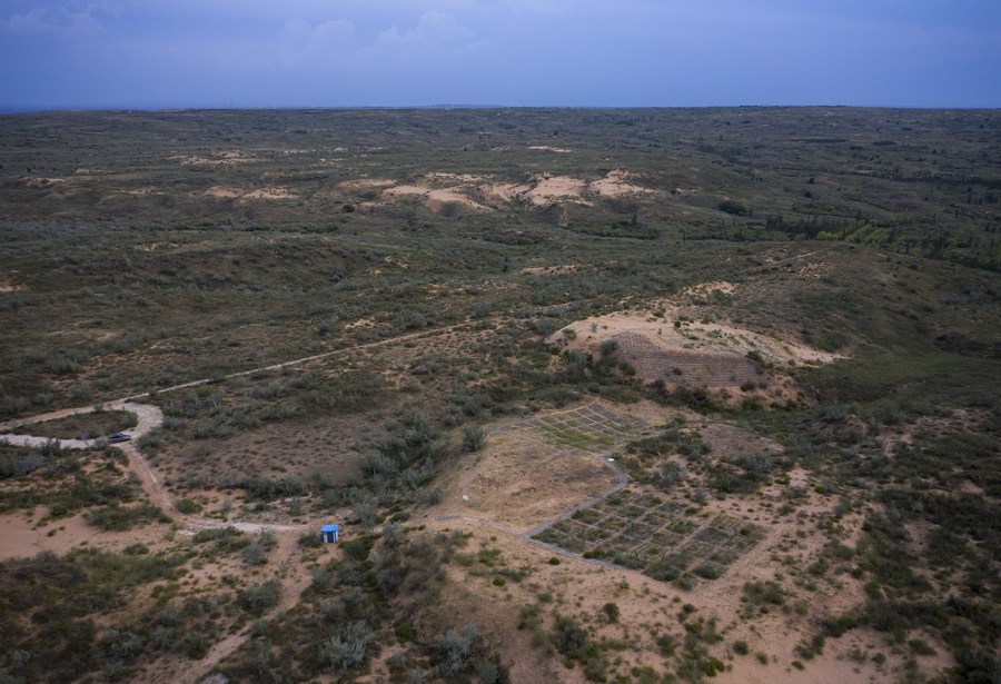 China restaurará mais de 6 milhões de hectares de terra desertificada