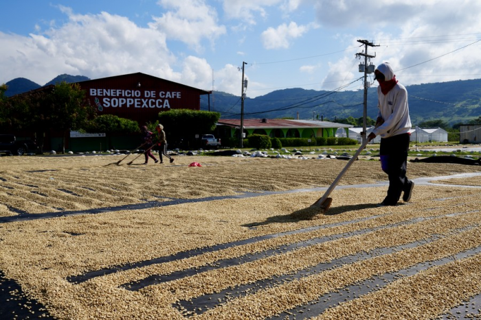 Nicarágua quer exportar café para a China
