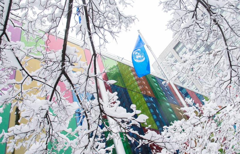 China facilitará implementação do acordo de biodiversidade da ONU