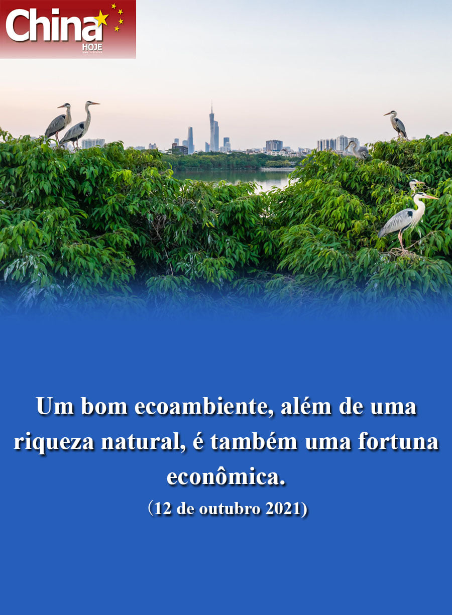 COP15
