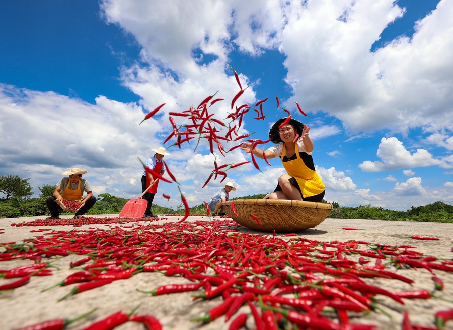 China aumenta apoio financeiro para agricultura e áreas rurais