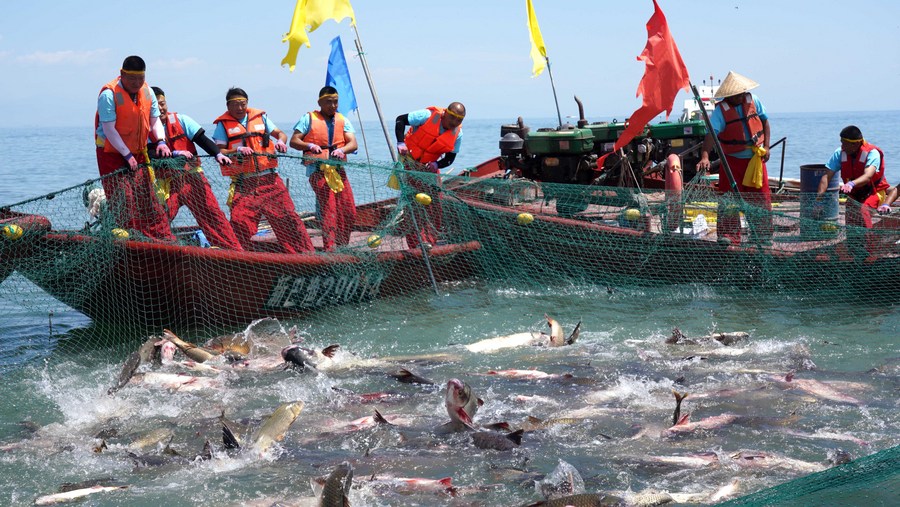 Alimentos pescados em Xinjiang chegam à mesa de jantar em todo o mundo