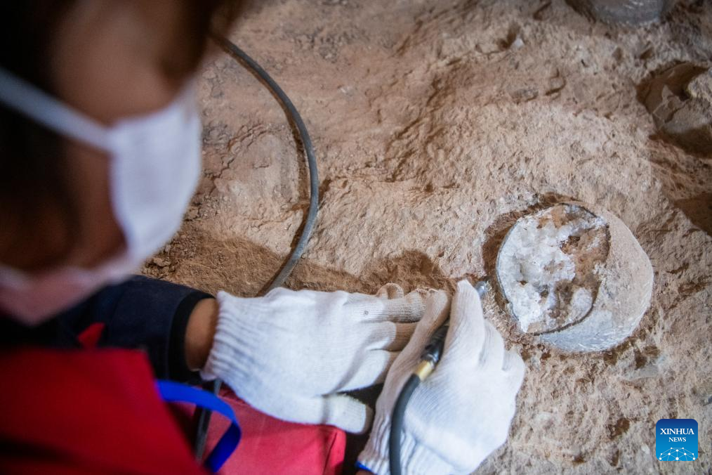 Fósseis de ovos de dinossauro cristalizados são descobertos no centro da China