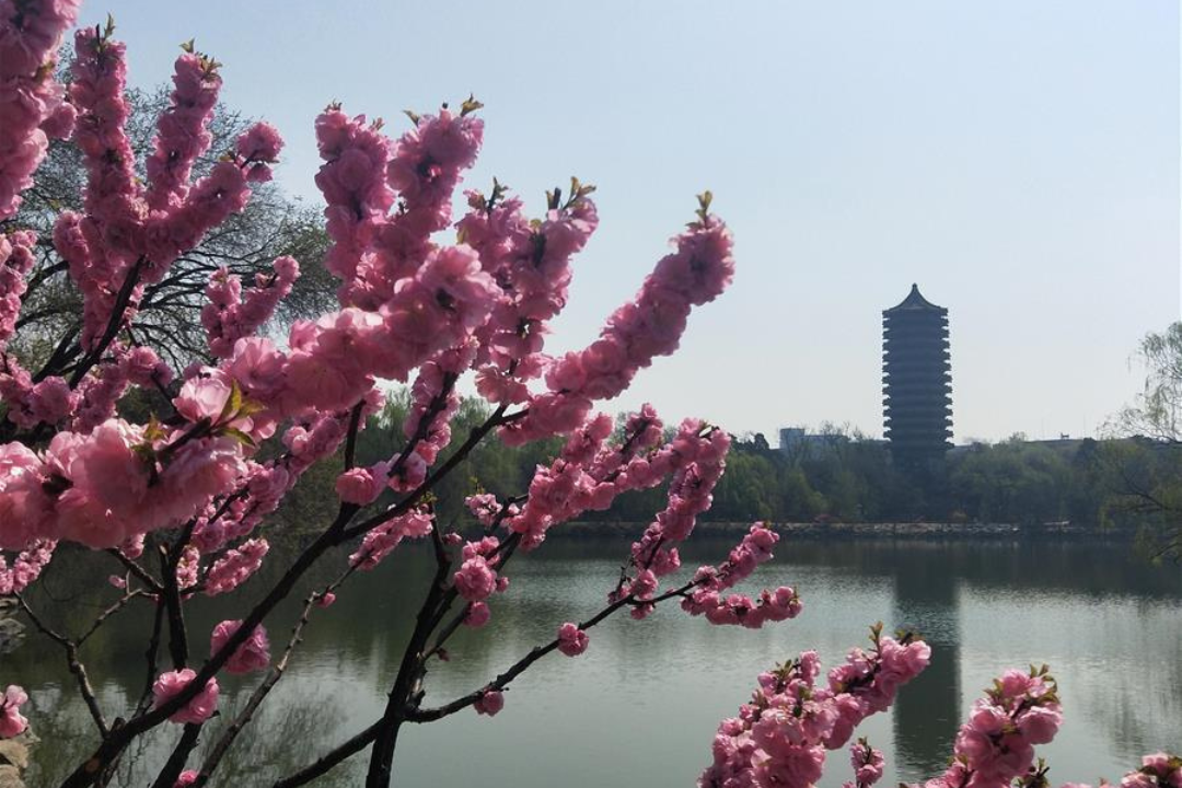 Revista China Hoje lança podcast; ouça agora
