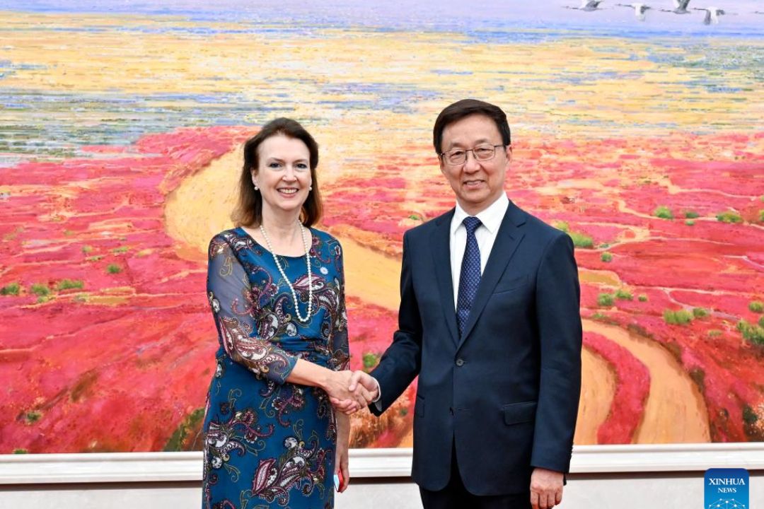 Vice-presidente chinês se encontra com chanceler argentina
