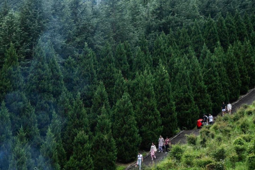 China emite diretrizes para acelerar transição verde no desenvolvimento econômico e social