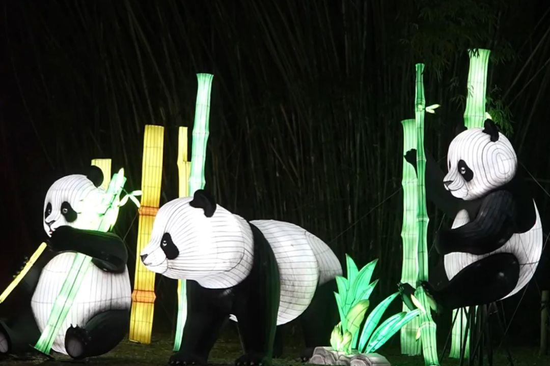 Festival de Luzes transforma o Jardim Botânico de São Paulo em um espetáculo mágico