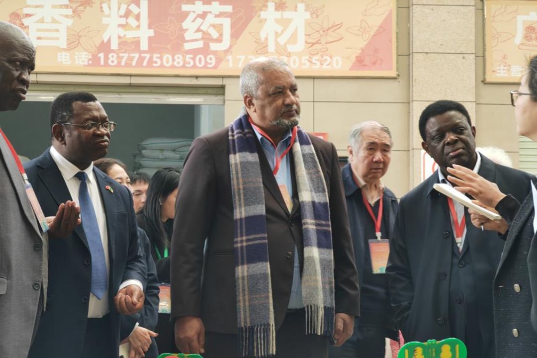 Diplomatas de 10 países visitam Yulin e exploram oportunidades de cooperação
