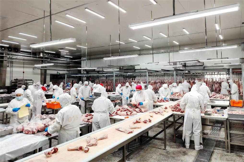 Grupo chinês amplia importação de carne bovina do Brasil e prevê mais de US$ 70 milhões em 2025