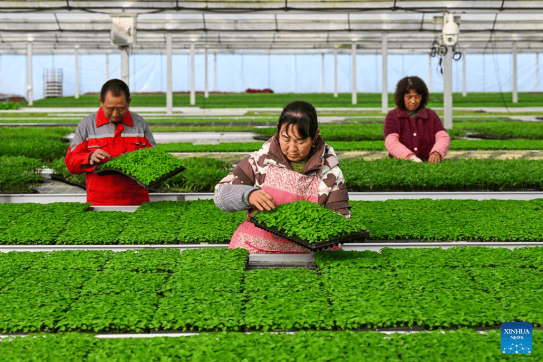China destina R$ 860 milhões para proteger agricultura de desastres