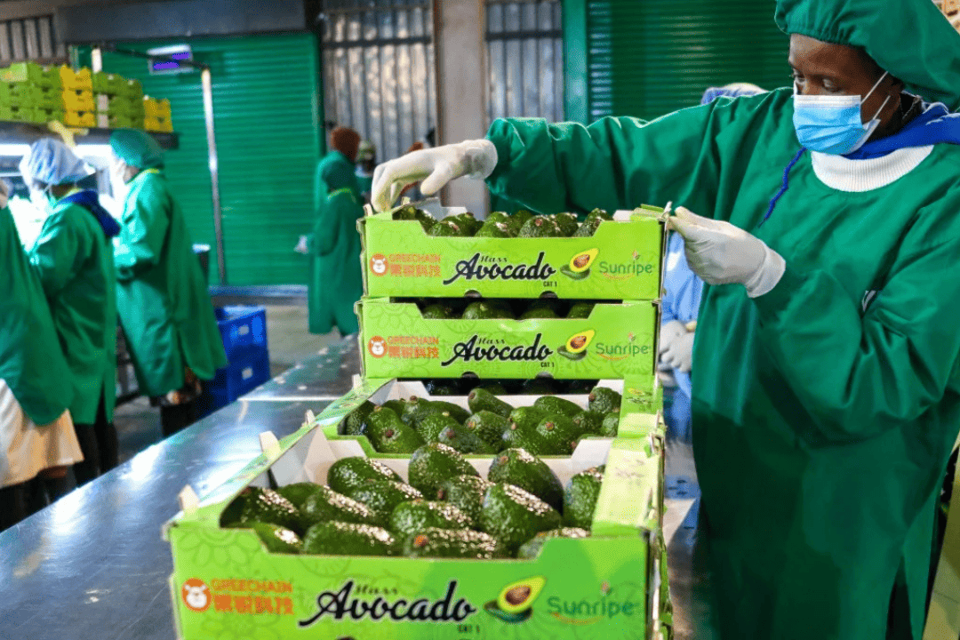 China amplia oferta de produtos africanos para consumidores do país