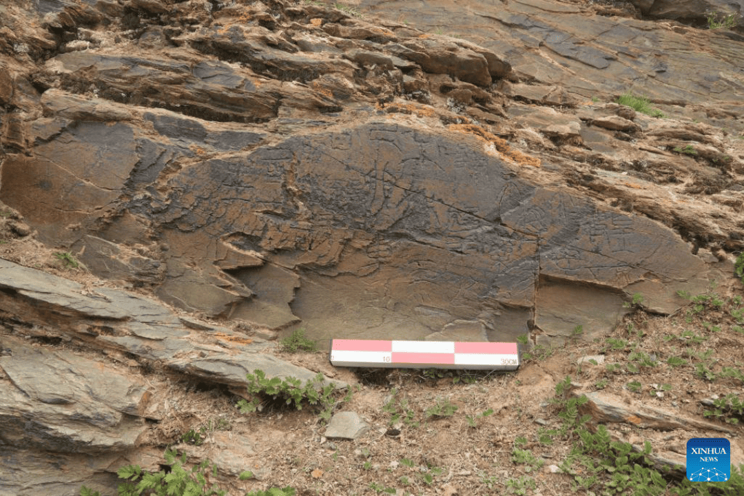 China confirma primeira descoberta de inscrição em pedra da Dinastia Qin