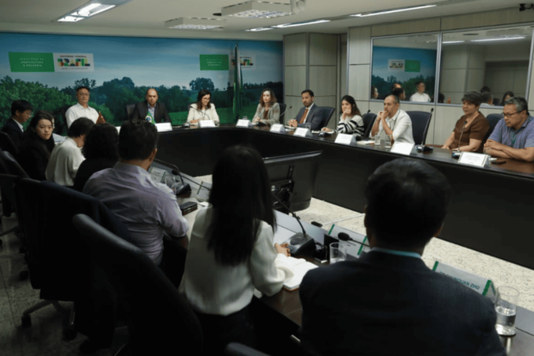 Brasil e China se reúnem para alinhar práticas de produção sustentável