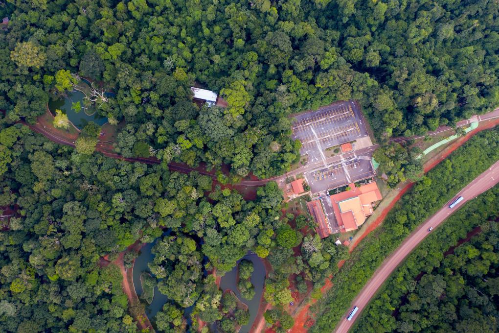 Vale celebra 40 anos na Amazônia com instalação imersiva na Exposição Internacional de Importação da China