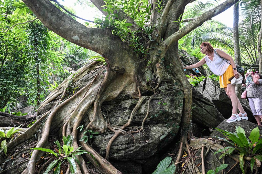 Distrito de Hainan apresenta soluções de neutralidade de carbono na COP30 em Belém
