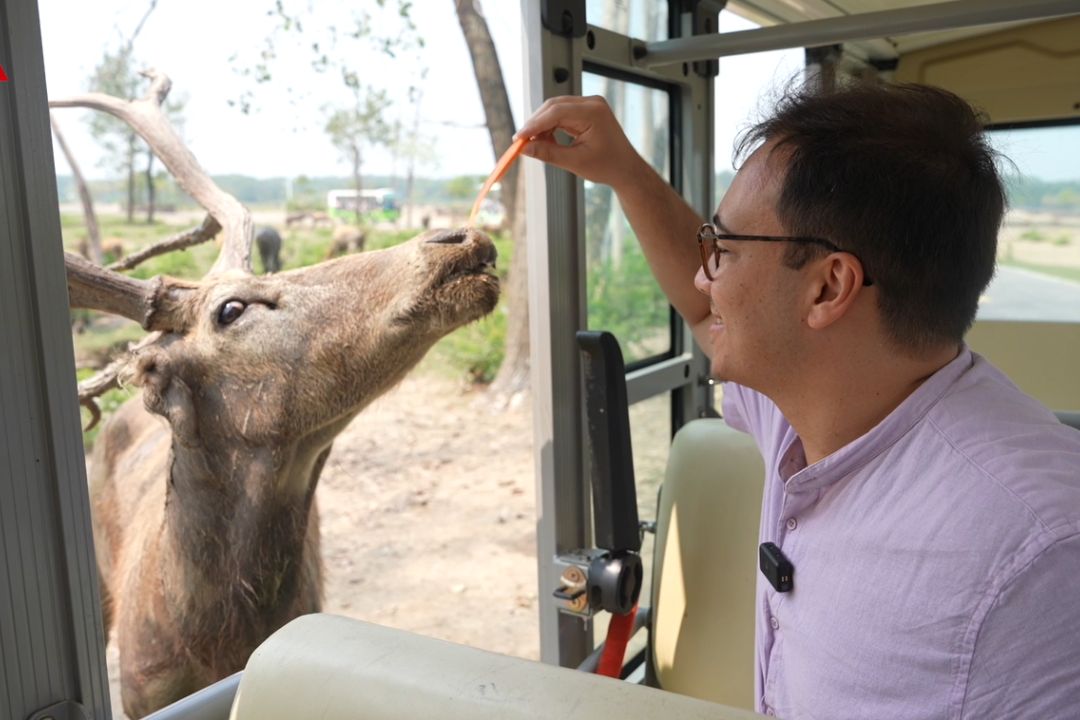 Yancheng: onde a natureza e o desenvolvimento caminham juntos