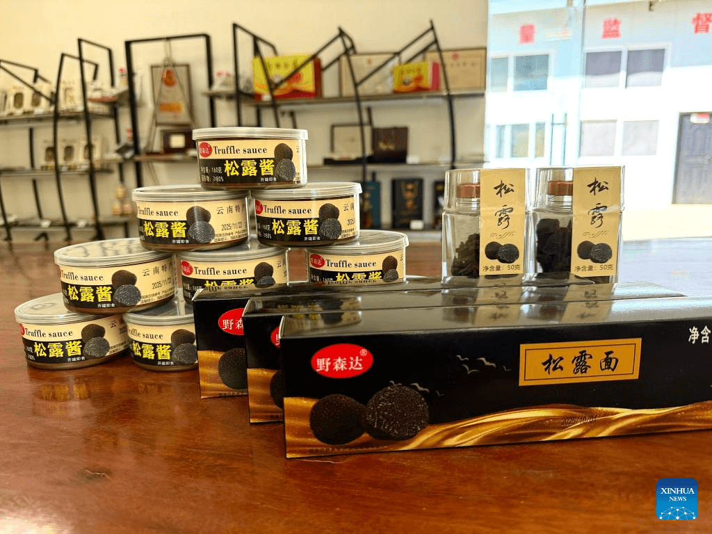 Trufas de Yunnan ganham espaço na mesa chinesa e avançam no mercado global