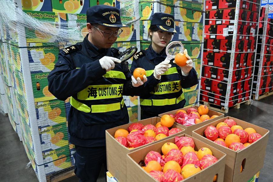 Produtos africanos ganham espaço na China após nova política de tarifa zero