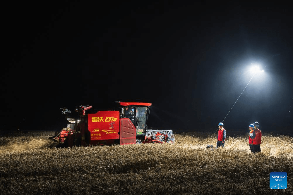 Colheita emergencial mobiliza milhares de máquinas para salvar safra de trigo na China