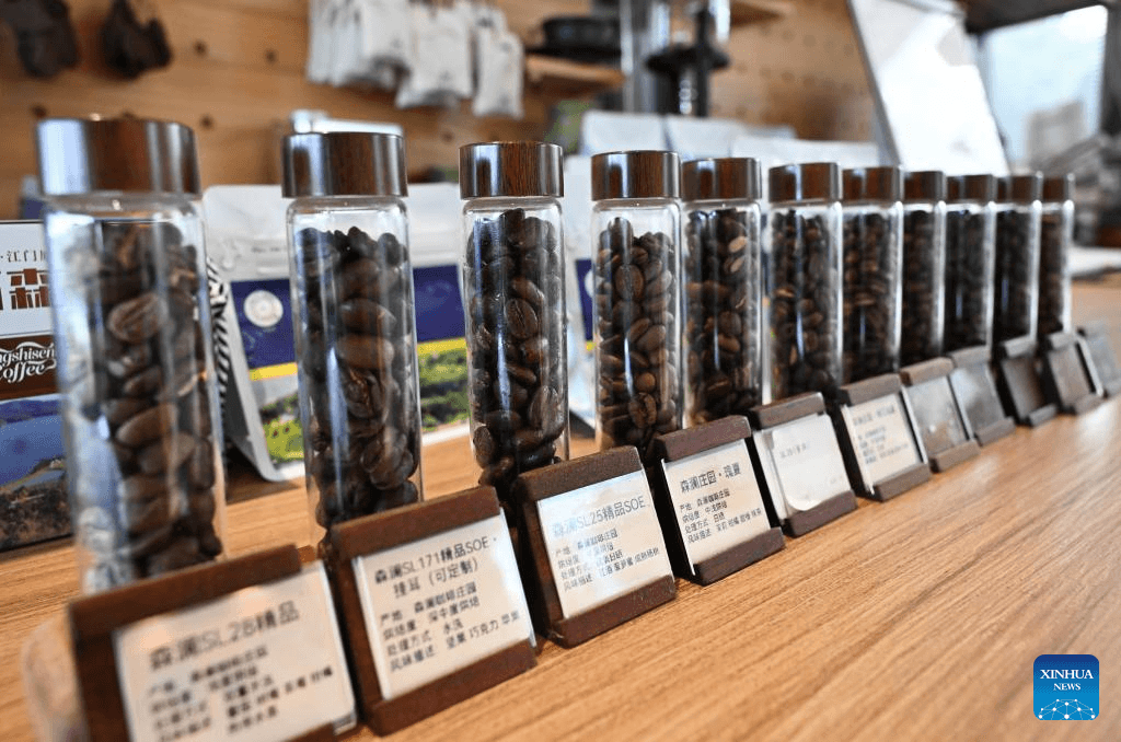 Jiangmen aproveita conexão internacional para criar polo da indústria do café